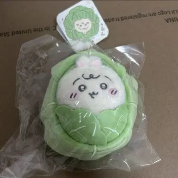 치이카와 (먼작귀) ChiikawaBaby 양배추만