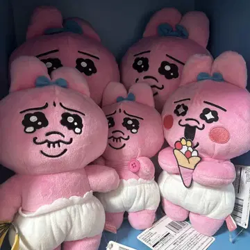 빤쮸토끼