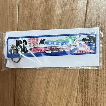 JAL 플라이트 택 신이시가키 공항 키링