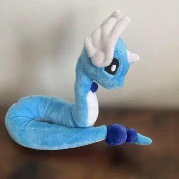 포켓몬 핏 한지우