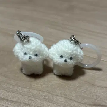 모코푸와 강아지 메지루시 액세서리 비숑 프리제 A
