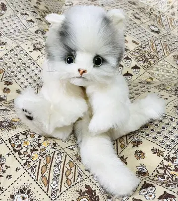 고양이 봉제 인형 리베