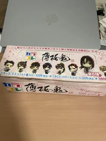 박앵귀 카라코레