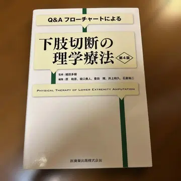 Q&A 플로우차트에 의한 하지 절단의 물리치료