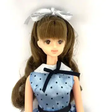 제니 프렌드 나오미 리카짱 캐슬 본체 의류 덤