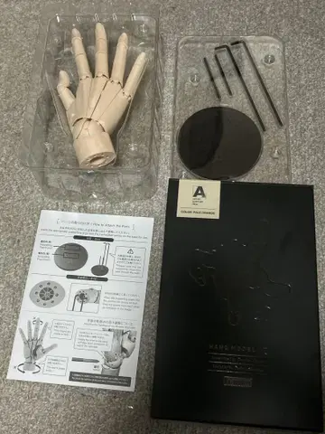 ARTIST SUPPORT ITEM 핸드 모델 PALE ORANGE