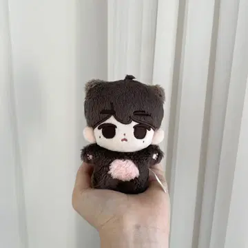 장하오 10cm 인형 봉제 인형 마스터