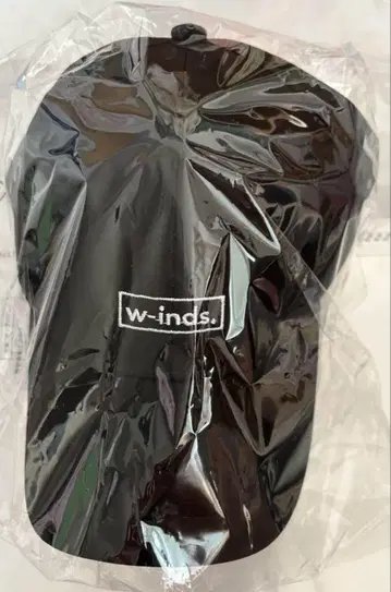 w-inds. 투어 굿즈 캡 winderlust
