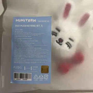 SEVENTEEN 에스크프스 미니틴 키링