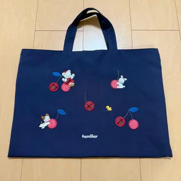 파밀리아 레슨백