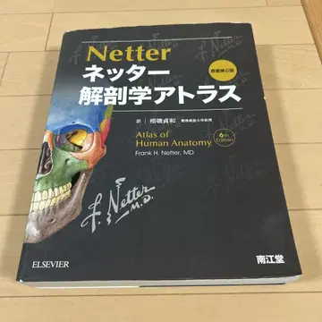 넷터 해부학 아틀라스