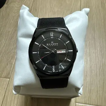 SKAGEN MELBYE TITANIUM SKW6006 스카겐 멜비