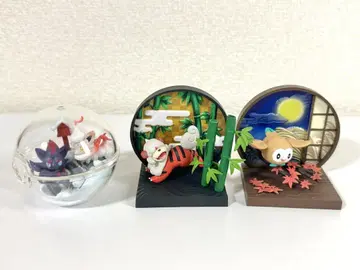 화의 창 가디 모크로 / 테라리움 컬렉션 조로아 & 조로아 / 3종 세트