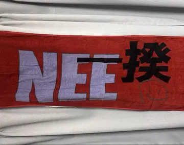 NEE 일 타월