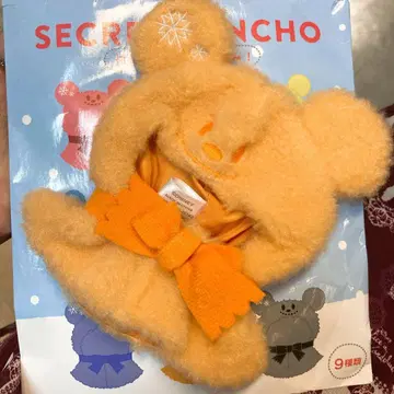 디즈니 시크릿 판초