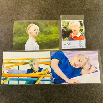 seventeen 컨셉존 정한
