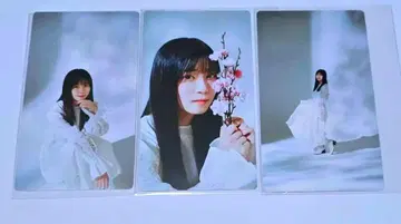 사쿠라자카46 야마시타 시즈키 사쿠콜레 리얼 카드 3장 세트