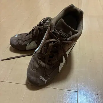 PUMA 브라운 스피도캣