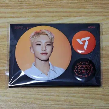 SEVENTEEN BE THE SUN 캔뱃지 호시