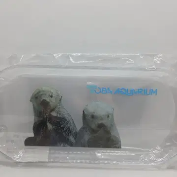 도바 수족관 랏코 키라 메이 멀티 트레이