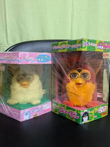 퍼비