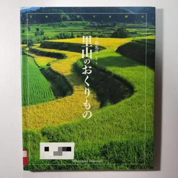 산골의 선물