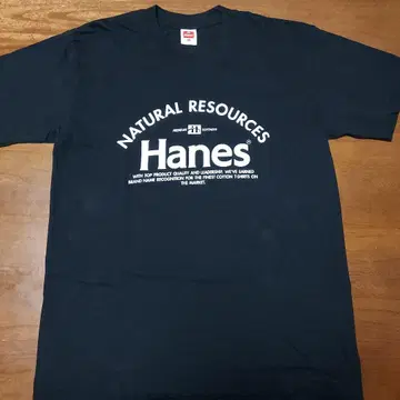 Hanes 다이와보우 어패럴 코튼 T셔츠