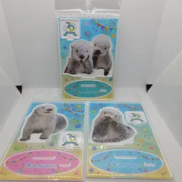 도바 수족관 해달 키라 메이