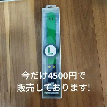 슈퍼 닌텐도 월드 파워업 밴드 루이지