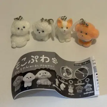 모코푸와 강아지 메지루시 액세서리 컴플리트