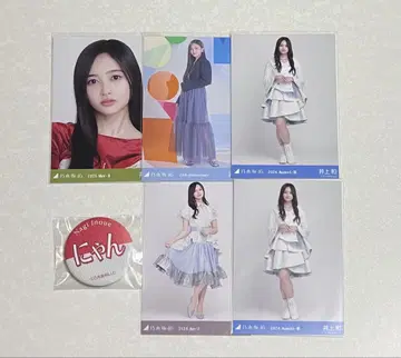 노기자카 이노우에 와카 5장 + 캔 배지
