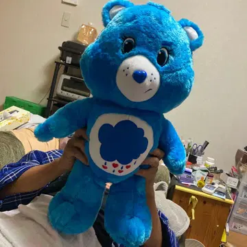케어 베어 봉제 인형