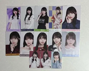 노기자카 오카모토 히나 13장 세트