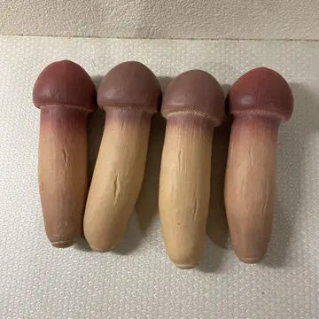 송이버섯 버섯 스퀴즈 프라이스