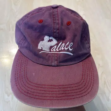 Palace 퍼플 캡