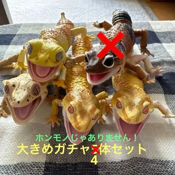 레오파드게코 기타 피규어 가챠 4체 세트