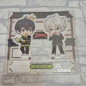 블루 록 이사기 요이치 나기 세이시로 아사쿠사 하나야시키 아크릴 스탠드