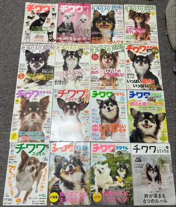 치와와 스타일 잡지 세트