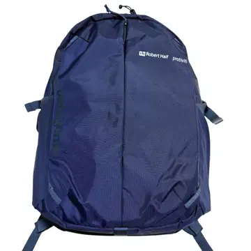 컨디션 최상 patagonia 레프유지오 데이팩 26L 네이비