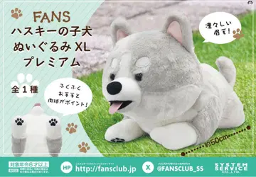허스키 강아지 봉제 인형 XL 프리미엄 택 포함 새상품