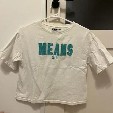 ANAP 피치T