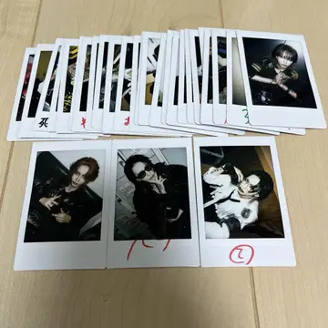 영[Hz] TEIKA 폴라로이드 3