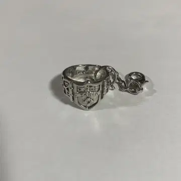 가정교사 히트맨 REBORN! 컬렉션 참 바리아 반지