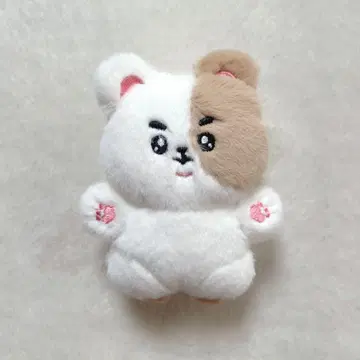 [ 미사용 ] 함치니 BTS JIN