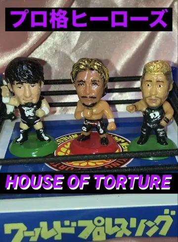 프로 격투 히어로즈 HOUSE OF TORTURE