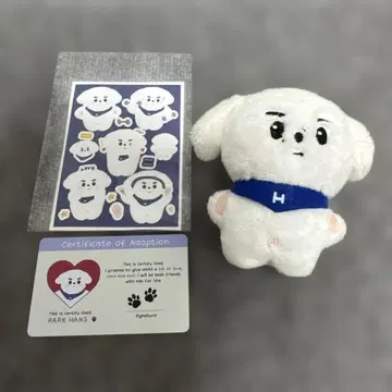 ENHYPEN 성훈 10cm 봉제 인형 마스터님