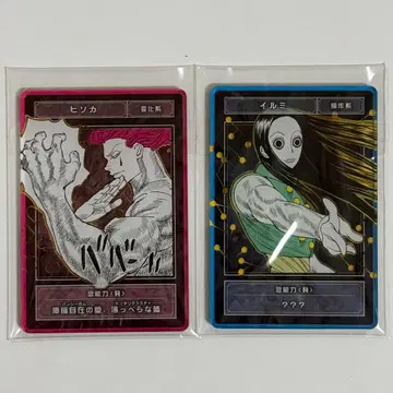 HUNTER x HUNTER 헌터헌터 스탯 카드 히소카 이르미