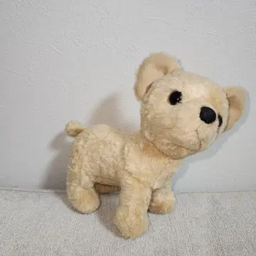 COMO&RAY 코모앤레이 빈즈 클럽 프레미엘 치와와 봉제 인형