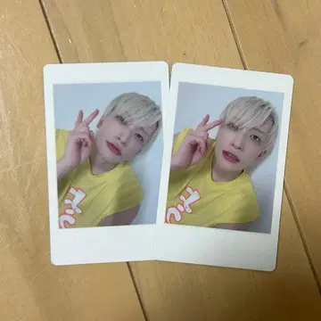 팬더드래곤 파라곤 하피카 요우타