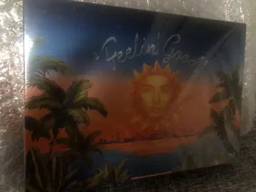 후지이 카제 feelin'good Blu-ray